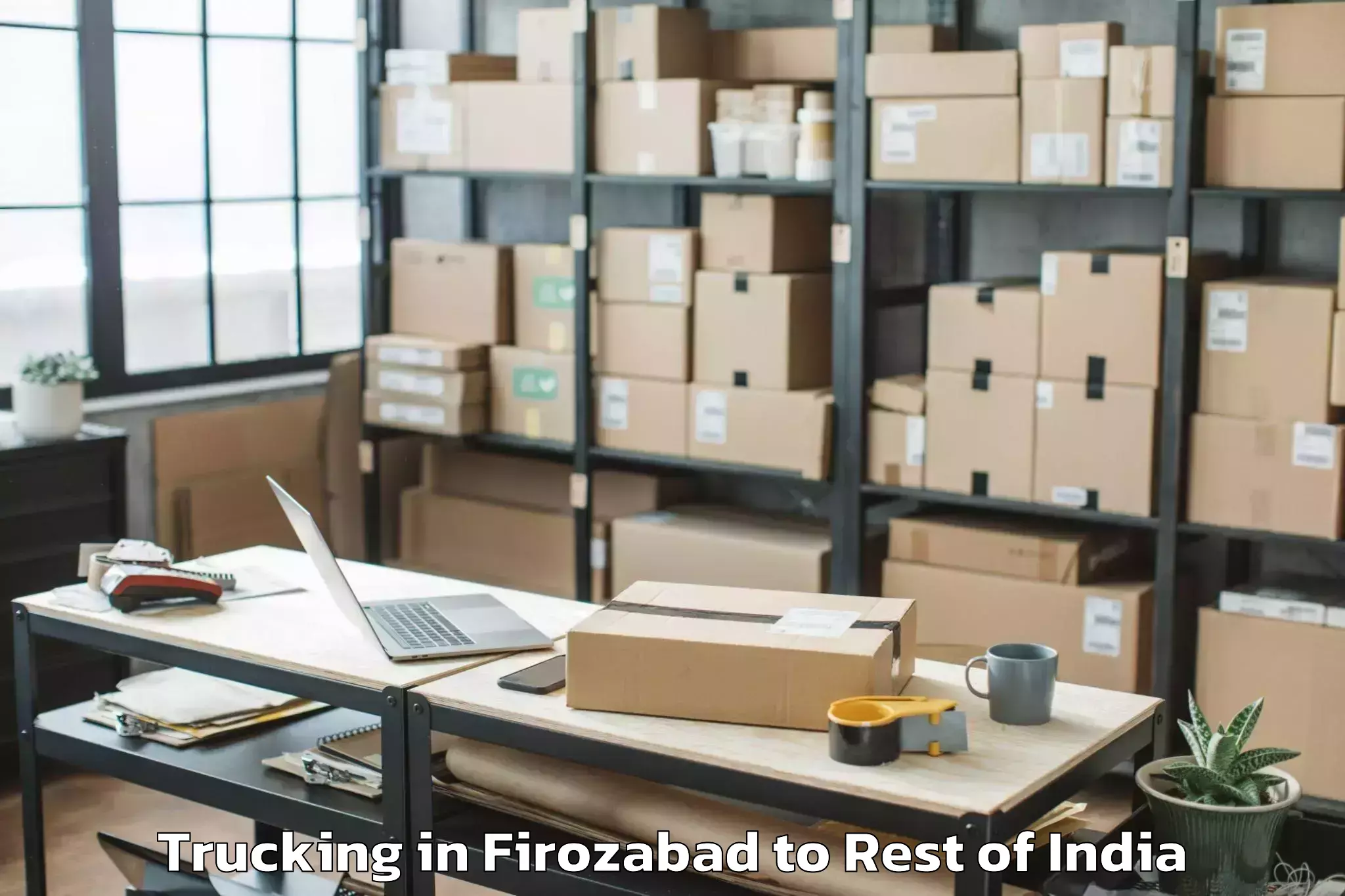 Leading Firozabad to Kargil Trucking Provider